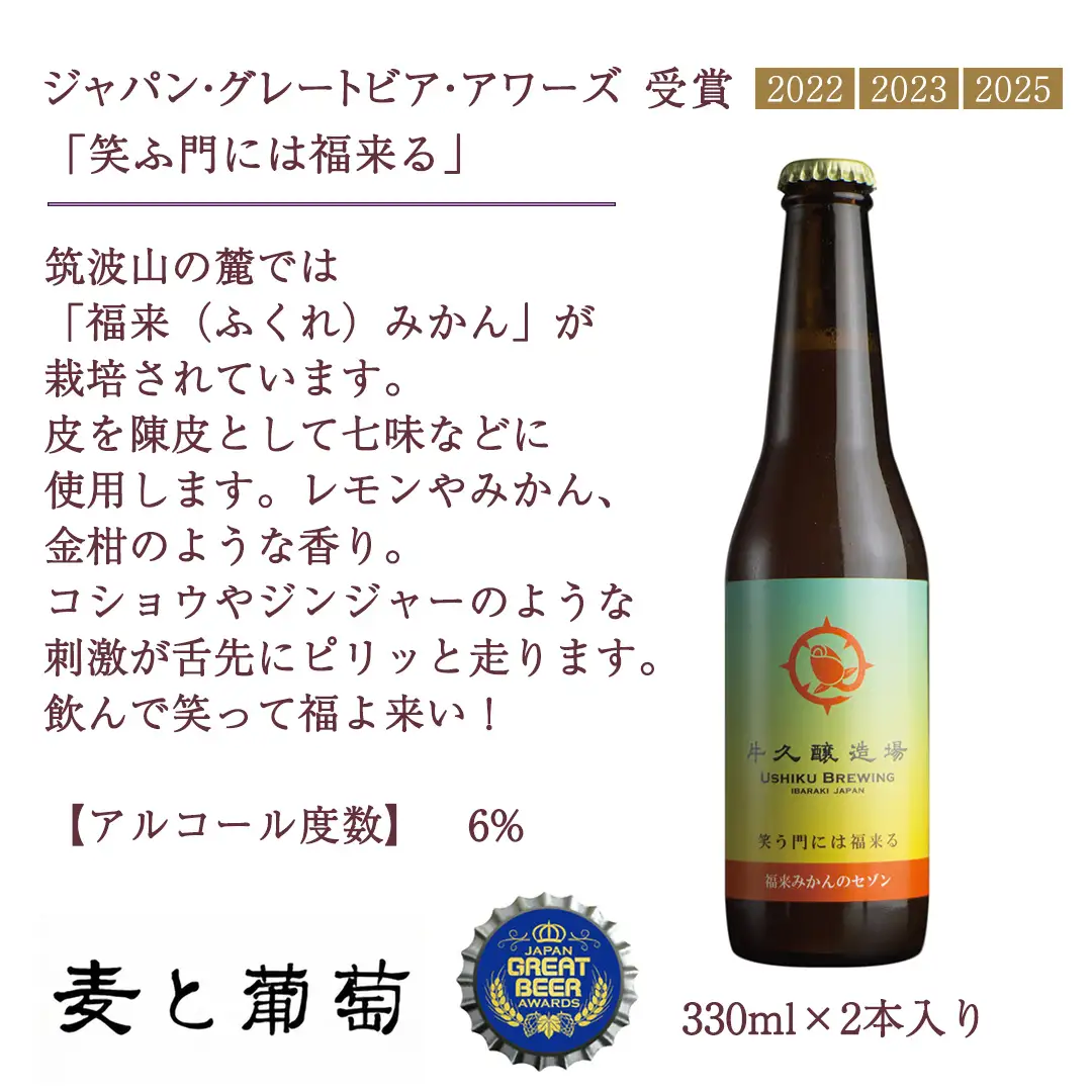 【 お歳暮 熨斗付 】 5年連続！《 ジャパン・グレートビア・アワーズ 受賞 》 クラフトビール 2種 計 6本 セット