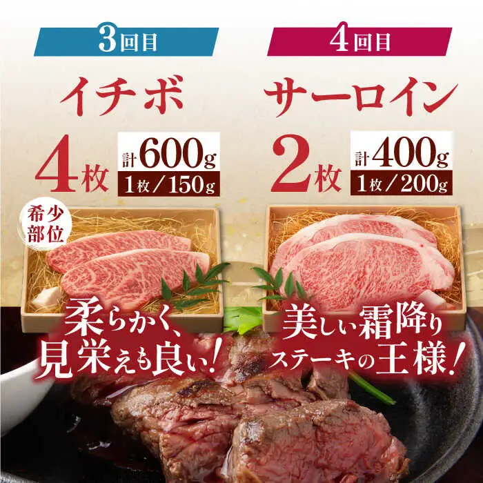 【全6回定期便】 長崎和牛 ステーキざんまいコース 総計2.5kg / モモ リブロース イチボ サーロイン ランプ ヒレ / 肉 牛肉 ステーキ 焼肉 / 波佐見町 / 野中精肉店 [VF81] 九州 九州産