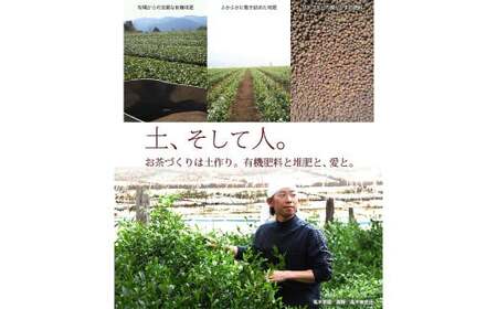 【八女茶】奥八女星野村 深蒸し高級煎茶 (深蒸し茶) 100g×1袋