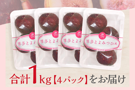 【ふるなび限定】博多とよみつひめ 1,000g（４パック）【2026年8月～10月に発送予定】 CD23f FN-Limited-PR