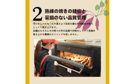 【ジャパンフードセレクション 金賞】 【全3回】 毎月お届け 冷やし焼き芋３種食べ比べセット 約1kg×3回 定期便  芋スイーツ H047-048