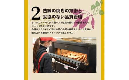 【ジャパンフードセレクション 金賞】（全6回）毎月1種類ずつ届く 冷やし焼き芋定期便 約1kg×6回（計3種） 芋スイーツ H047-051