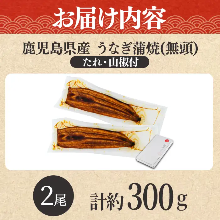 【0104347a-2609】＜9月上旬発送予定＞東串良町のうなぎ蒲焼(無頭)(2尾・計約300g・タレ、山椒付) うなぎ 高級 ウナギ 鰻 国産 蒲焼 蒲焼き たれ 鹿児島 ふるさと 人気【アクアおおすみ】