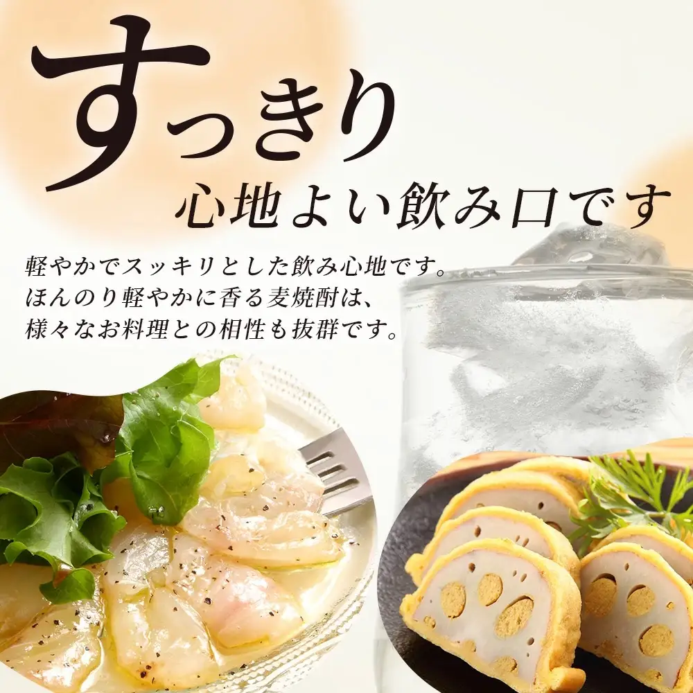 メガボトル4L×4本！ 純 麦焼酎【麦一石】4L エコペット 25度 計16L 焼酎 蔵元直送 16リットル パーティサイズ 麦 酒 麦麹 焼酎 大容量 熊本 球磨 焼酎 多良木町 040-0588
