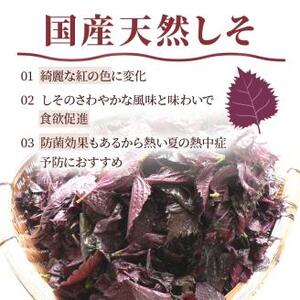 【1125-2】しそ漬け梅干し（紀州南高梅）1.6kg 大粒 3L以上 和歌山県産