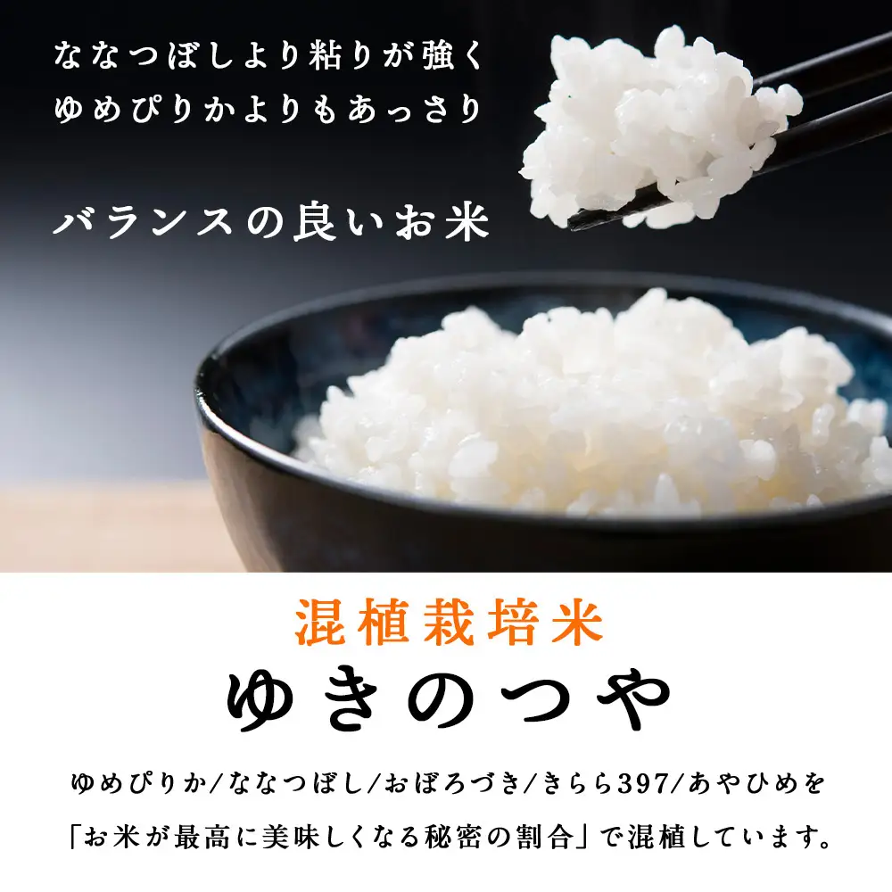 【7営業日以内発送】北斗米ゆきのつや20kg（5kg×4袋）