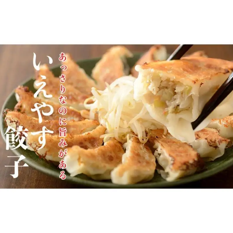 餃子 和風だし 肉餃子 いえやす 2種 48個 食べ比べ 餃子