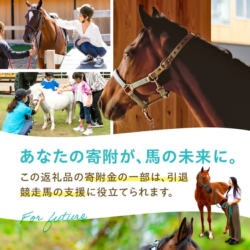 TCCセラピーパーク施設見学＆ふれあい チケット (1名様分) BIAV002 競馬 引退馬