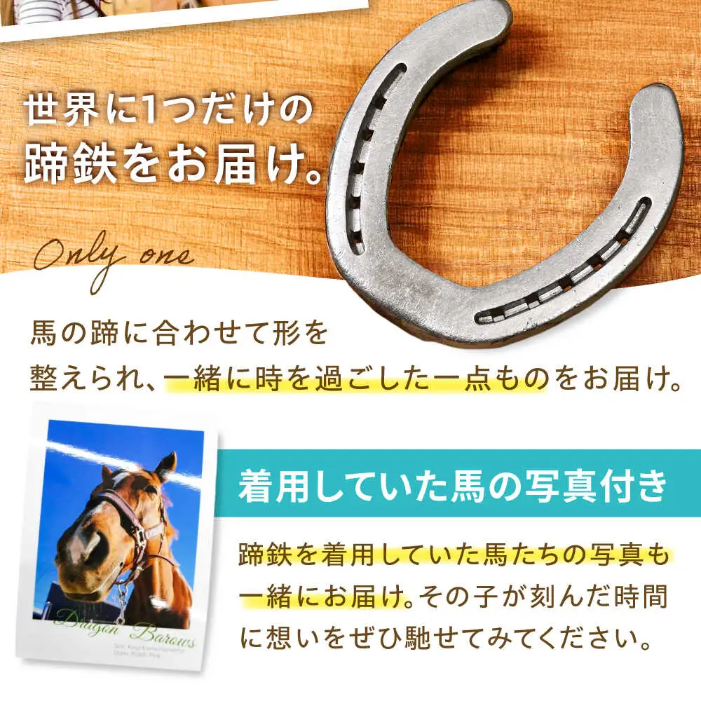 TCCホースシュー 世界に一つだけの蹄鉄 BIAV003 競馬 競馬グッズ