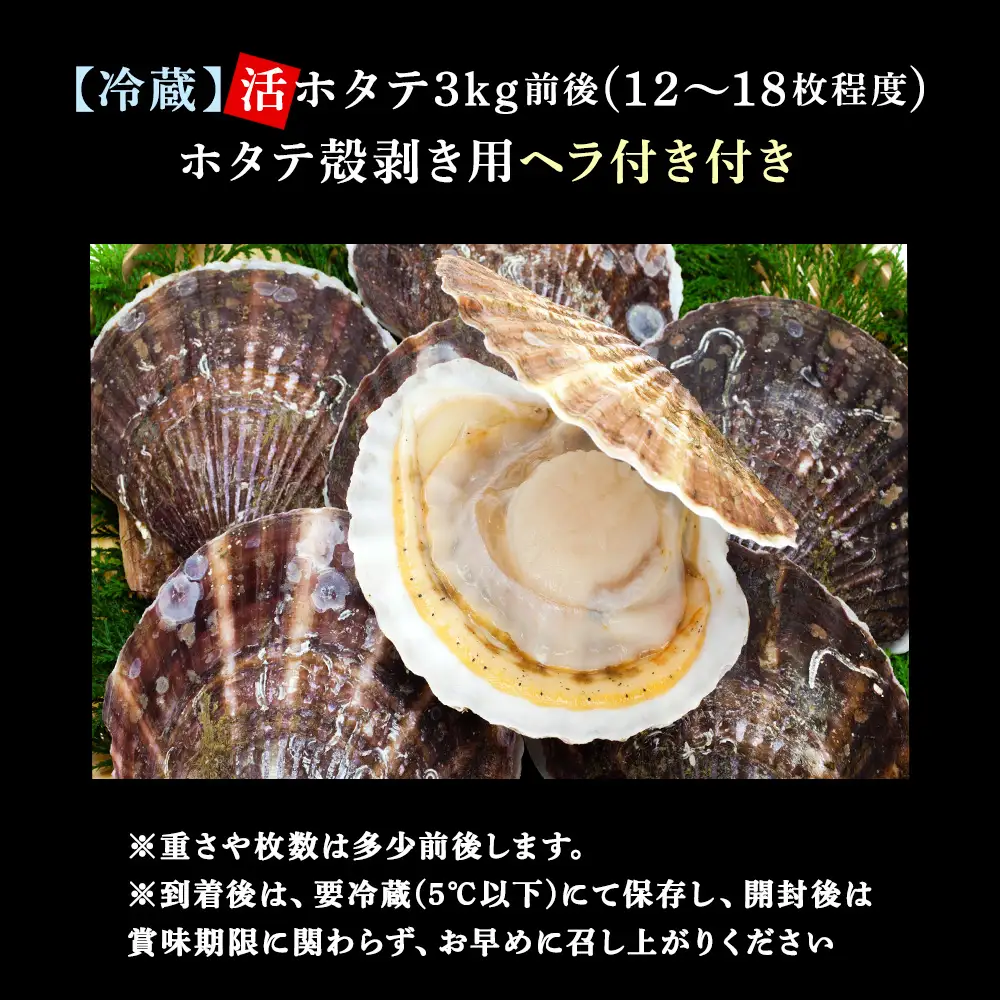 【先行受付】《冷蔵便でお届け!》北海道宗谷産活ホタテ3kg前後詰合せセット　泳ぐ帆立参上!【配送不可地域：離島・沖縄県・信越、北陸・東海・近畿・中国・四国・九州】