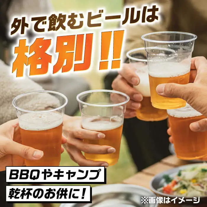吉野ヶ里町産クラフトビール GAME BREW CONTINUE?/コンティニュー 350ml×6本セット 吉野ヶ里町/西研グラフィックス[FDG001]