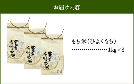 カワノ農園 もち米3kg(自然農法栽培) _U70-0272