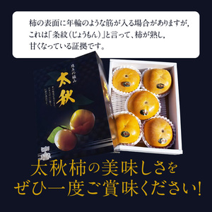 えのしまファーム【贈答用】太秋柿 約２ｋｇ(5～６玉)  _U85-0002