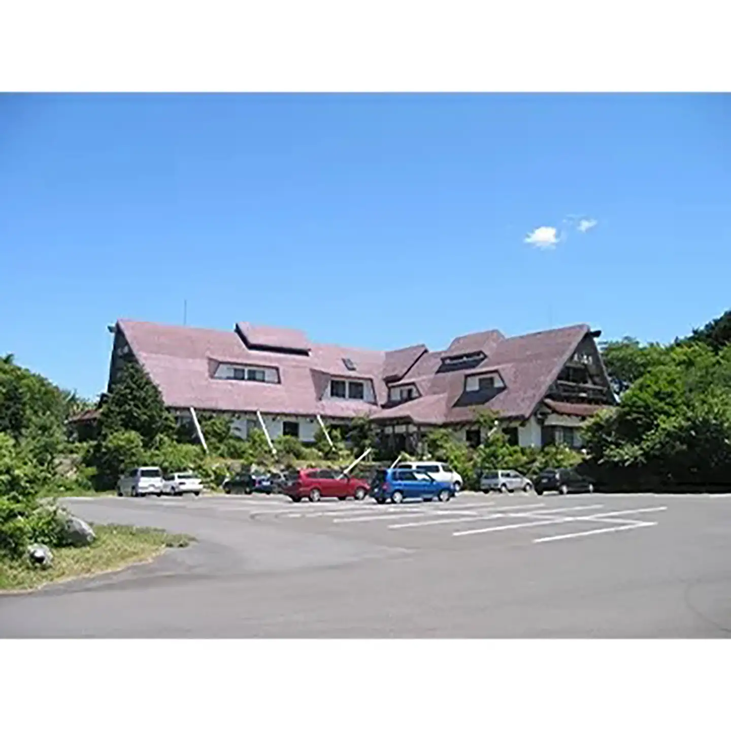 常陸牛 ロースすきやき550g【茨城県共通返礼品】常陸牛