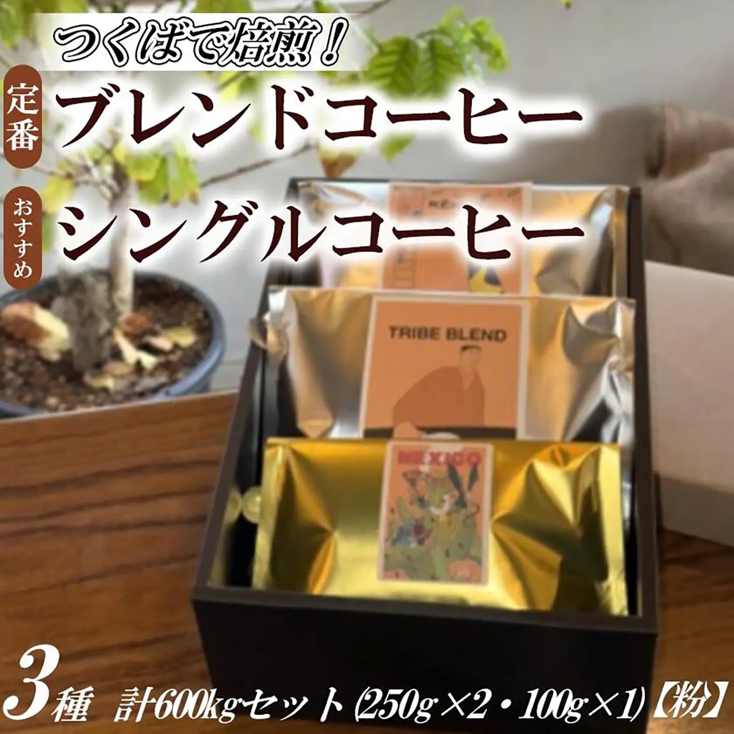 トライブで人気NO1定番ブレンドコーヒー2種(500g×2)[豆のまま]