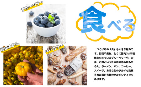 常陸牛 薄切り落し肉 500g 常陸牛A4・A5【茨城県共通返礼品】