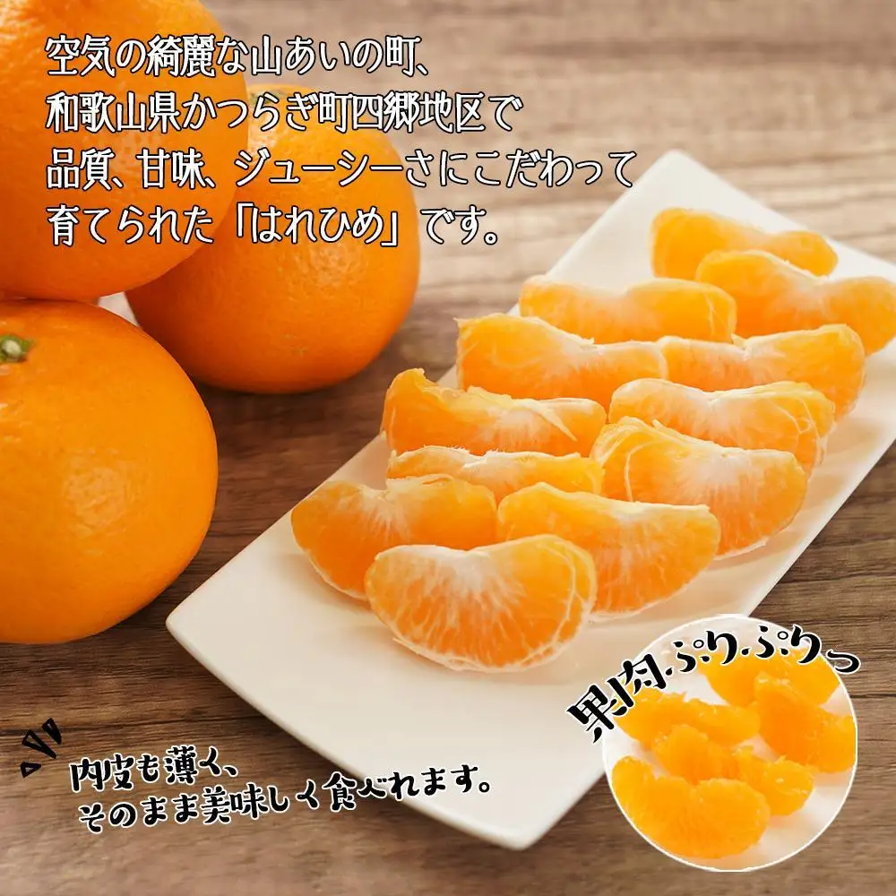はれひめ（ミカンの希少種） 秀品  約5ｋｇ（25個～30個入）［先行予約］［2026年12月中旬頃から発送］［KG3］
