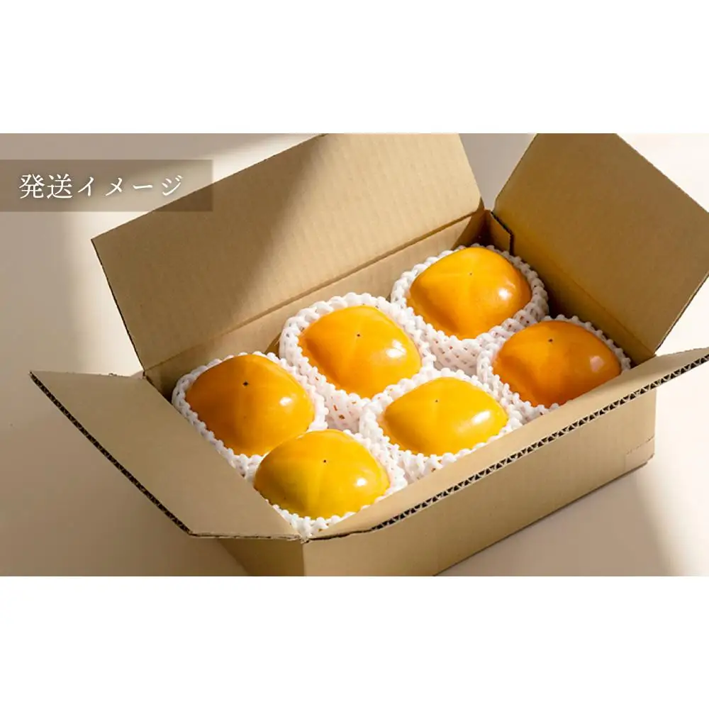 柿 種無し 赤秀品 超大玉 1.8kg 5～6個 ［先行予約］［2026年9月末頃から発送］［KG4］