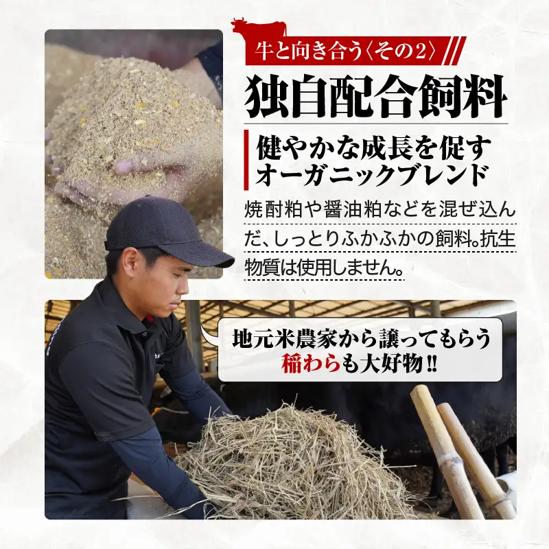 114-1 鹿児島県産 黒毛和牛 特上 切り落とし 1.5kg入 KN019-005 肉 牛 冷凍