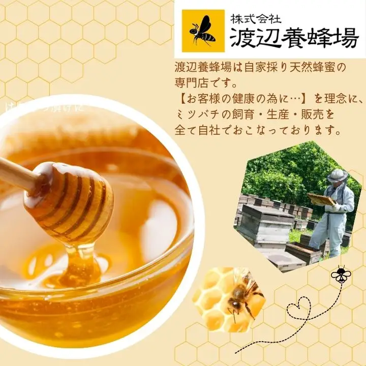 自家採り国産 天然熟成アカシヤ巣蜜  | ハチミツ 蜂蜜 【株式会社渡辺養蜂場】