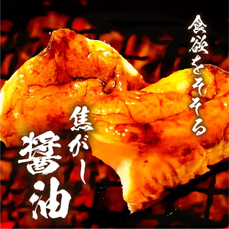 【5営業日以内に発送】ヒシク 藤安醸造 極あまくち専醤 500ml × 6本 K026-002_01 調味料 スピード配送 最短 すぐ届く お急ぎ