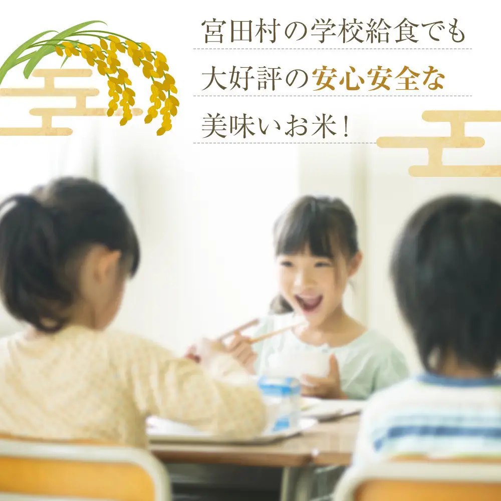 【予約受付】【令和８年米】長野県宮田村産コシヒカリ／精米／30kg・60,000円／令和９年1月配送