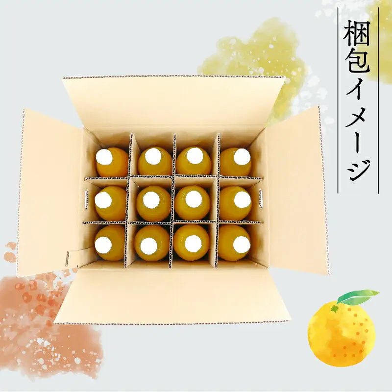みかんジュース 本物の100％みかんジュース 1,000ml × 12本 木田柑橘農園 H048-185003