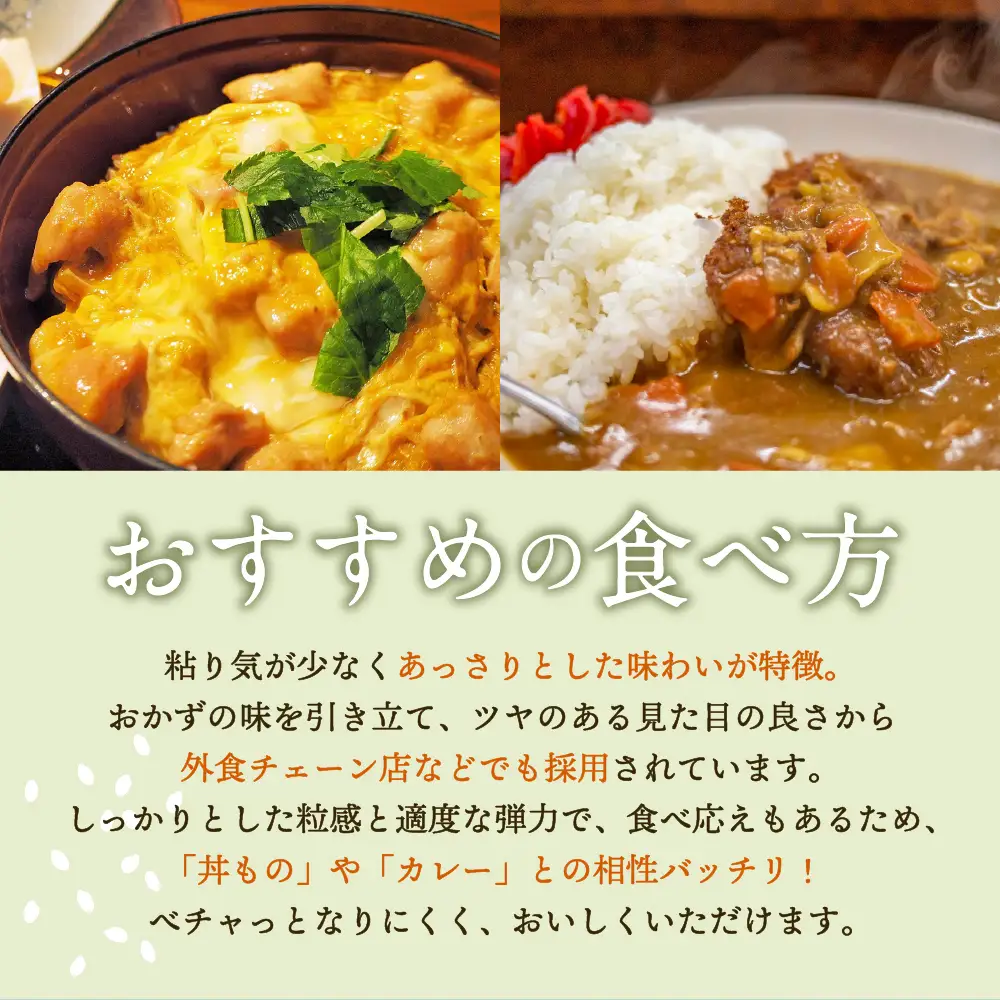 【定期便 10ヶ月】 無洗米 10㎏ 青森県産 まっしぐら （精米）