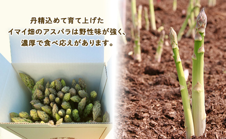 【2027年春発送】半農半画家 イマイ畑 自慢の≪アスパラガス 2kg サイズ混合 約40～50本≫ 露地栽培 北海道 富良野市 (イマイカツミ) 野菜 アスパラ 健康 太い 安心 道産 産地直送