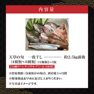 S123-002_天草の旬　一夜干し