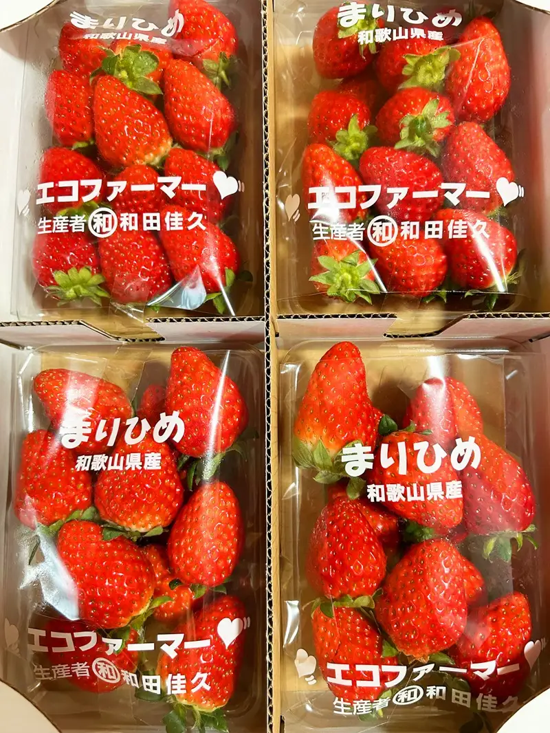 紀州和歌山ブランドいちご「まりひめ」約250g×4P 【2027年3月上旬頃〜3月下旬頃に順次発送】【UT39】【uot758B】