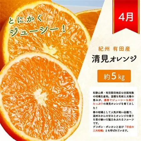 【発送月固定定期便】紀州和歌山産旬の柑橘セット(不知火・レモン・清見)全3回【4011935】