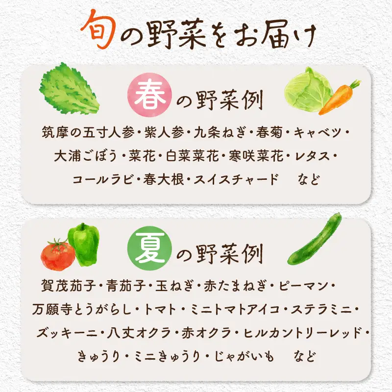 【数量限定】自然栽培野菜セット（団らん）