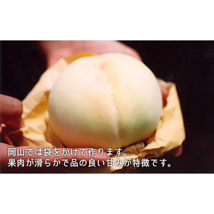 岡山県産「白桃・シャインマスカット」詰合せ 約1.0kg【26年8月下旬以降の出荷分】