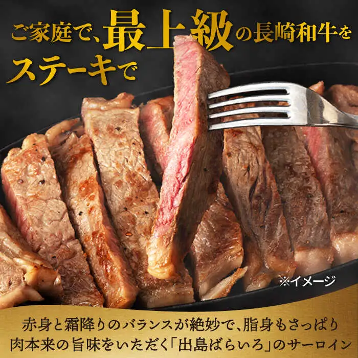 【3回定期便】ヒレ・サーロイン ステーキ2種食べ比べセット 長崎和牛 （400g/回） 【肉のマルシン】 [FG43]