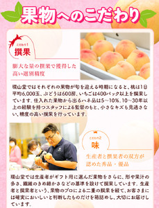 新高梨 5～6玉 計 約2.5kg 環山堂株式会社