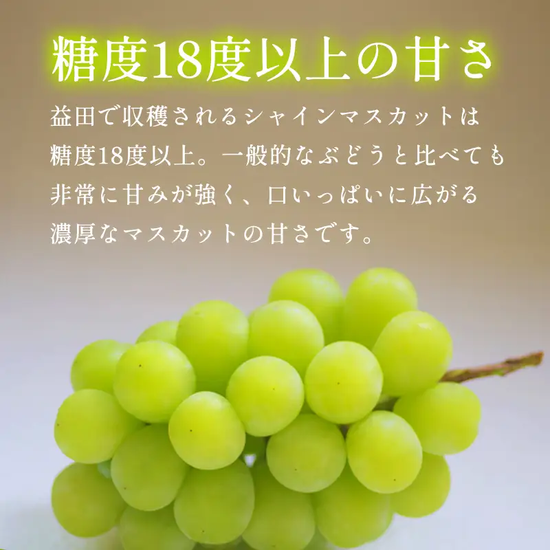 B-1179 冬季シャインマスカット 1kg