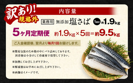 【5ヶ月定期便】【訳あり規格外】 業務用 無添加塩さば 1.9kg