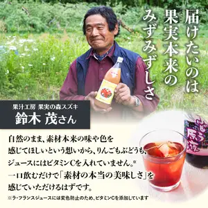 大江の恵 昔なつかしのすっきり紅玉6本ギフト 003-025