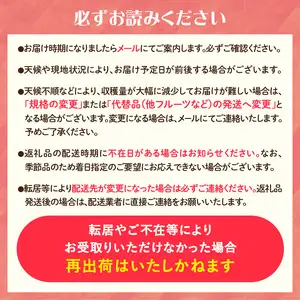《先行受付》訳あり シナノスイート約10kg（28～46玉）【2026年10月中旬～発送予定】【大江町産・山形りんご・りんご専科 清野】 015-057