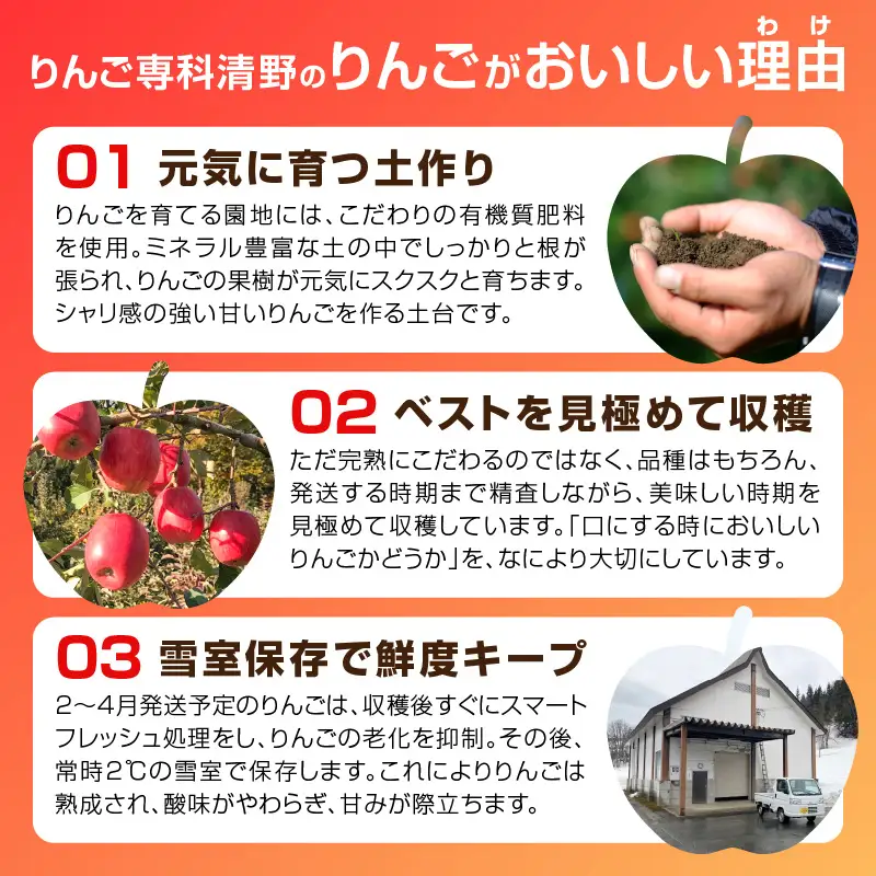 《先行受付》 贈答規格 シナノスイート約5kg（特秀～秀14～20玉）【2026年10月中旬頃～発送予定】【大江町産・山形りんご・りんご専科 清野】 015-056