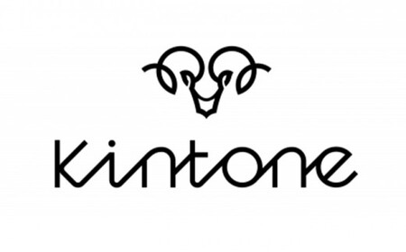 電動キックボード 公道 走行可能 KINTONE Model One S 増量バッテリーモデル(ホワイト） 白 免許不要 おりたたみ 特定小型原付