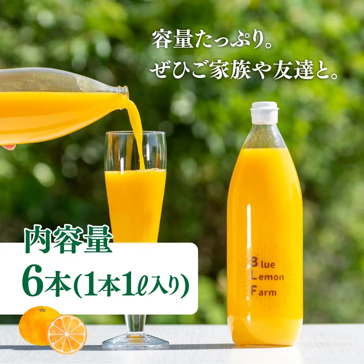 愛媛　ブルーレモンファームのごくしぼりみかんジュース　1L　6本