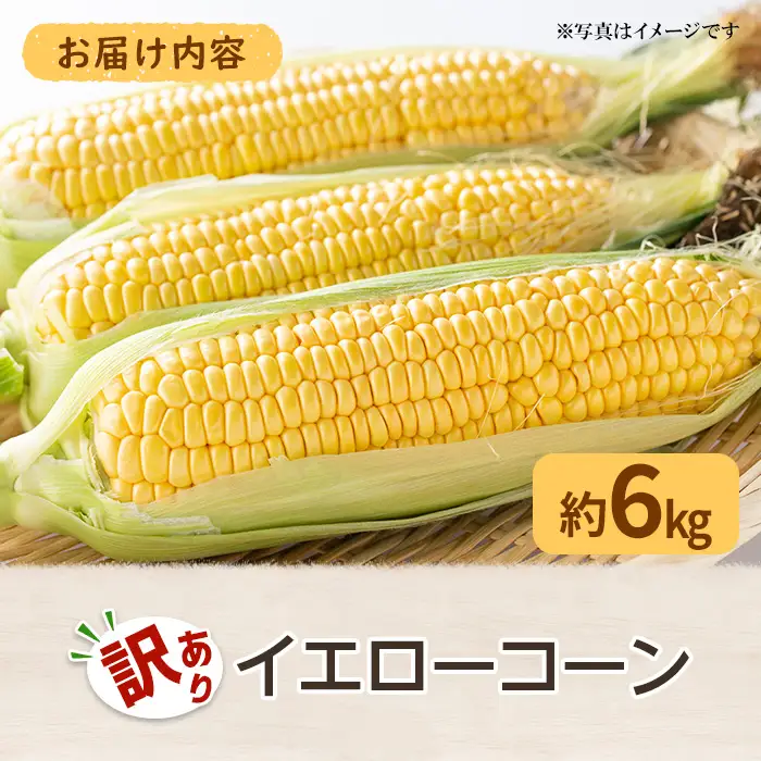 ＜先行予約！2027年6月上旬以降順次発送予定＞＜訳あり・家庭用＞イエローコーン(約6kg) 香川県 国産 トウモロコシ とうもろこし 新鮮 冷蔵便 【man114-B】【Aglio nero】