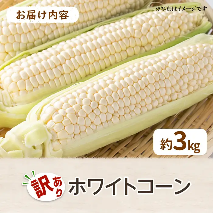 ＜先行予約！2027年6月上旬以降順次発送予定＞＜訳あり＞ホワイトコーン(約3kg) 香川県 国産 とうもろこし トウモロコシ 新鮮 冷蔵便 【man109-A】【Aglio nero】