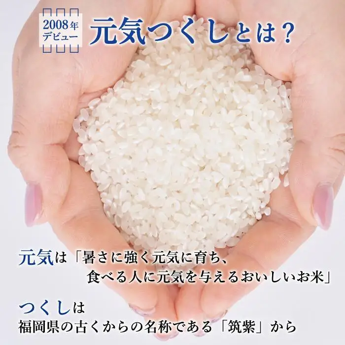 【令和8年度新米】先行予約受付 数量限定 白米(特別栽培農産物)元気つくし 5kg×2袋 (計10kg)