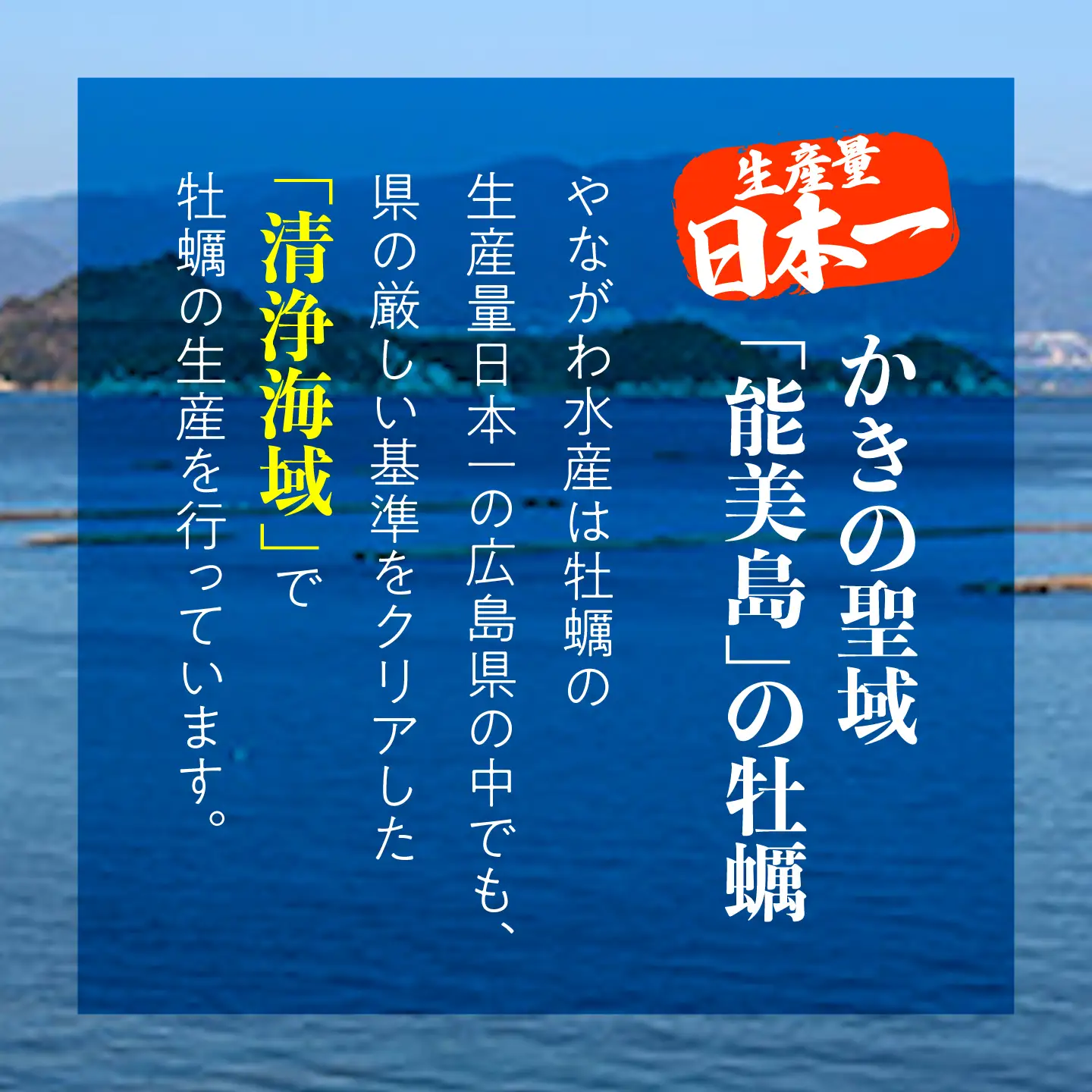 牡蠣 冷凍カキフライ40個 牡蠣[XBL006]