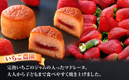 あいさいギフト2 焼菓子 2種5個【配達不可：離島】[AEAU002]