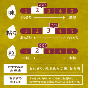 【令和8年度新米】こぴっと米【五百川】10kg 1等特別栽培米100％ [h020]
