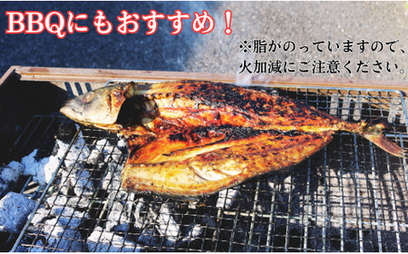 国産塩鯖 大サイズ８尾 約4kg 冷凍 さば サバ 鯖 国産 塩 美味しい 国産鯖 青魚 塩鯖 新鮮 海鮮 バーベキュー 千葉県 銚子市